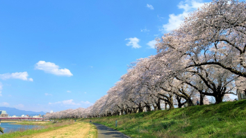福井県 福井市