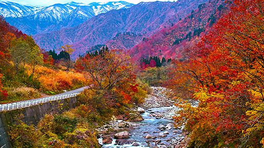 山形県 小国町